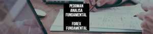 Pedoman Analisa Fundamental